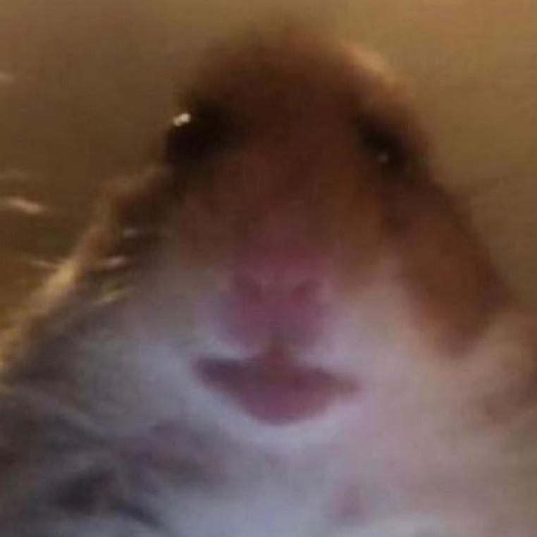 0Hamster0