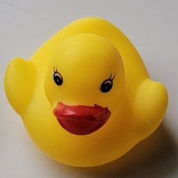 AinsleyP