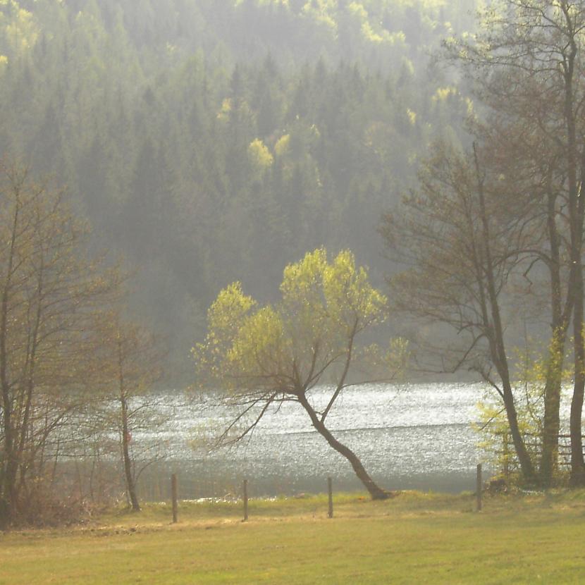 nordschatten